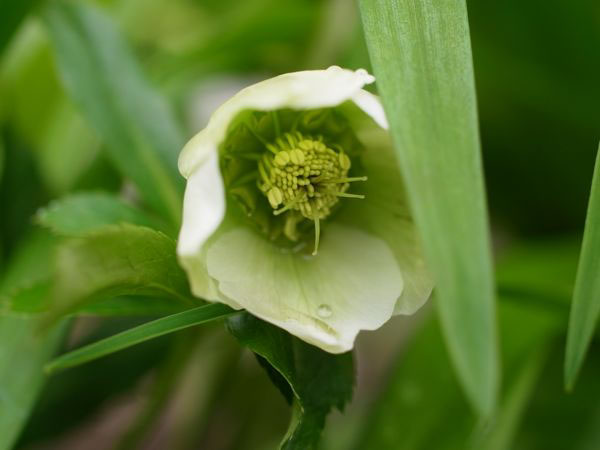 f:id:elmikamino:20110522094250j:image f:id:elmikamino:20110522094250j:image