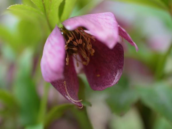 f:id:elmikamino:20110522094303j:image f:id:elmikamino:20110522094303j:image