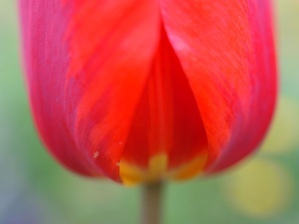 f:id:elmikamino:20110522095117j:image f:id:elmikamino:20110522095117j:image