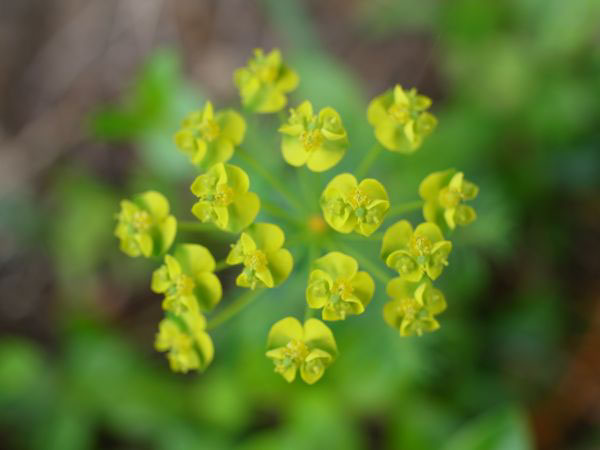 f:id:elmikamino:20110522095153j:image f:id:elmikamino:20110522095153j:image