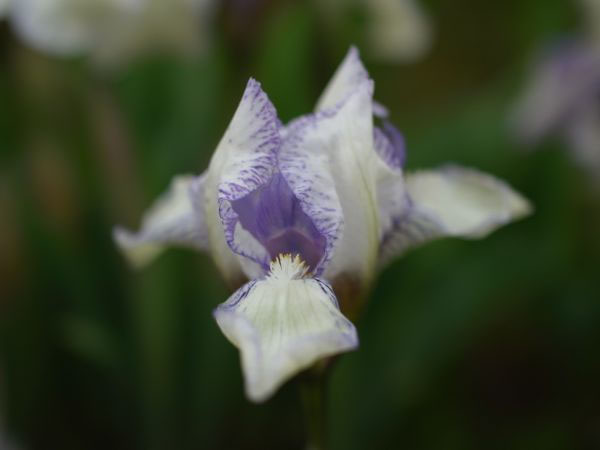 f:id:elmikamino:20110522095410j:image f:id:elmikamino:20110522095410j:image