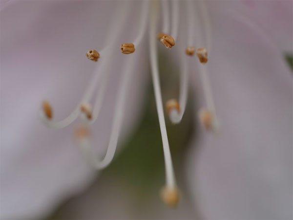 f:id:elmikamino:20110522100359j:image f:id:elmikamino:20110522100359j:image