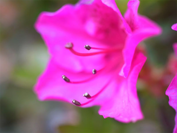 f:id:elmikamino:20110522100514j:image f:id:elmikamino:20110522100514j:image