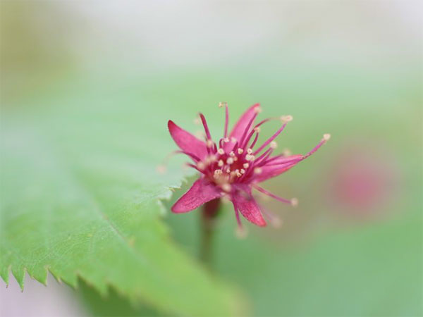 f:id:elmikamino:20110522101112j:image f:id:elmikamino:20110522101112j:image