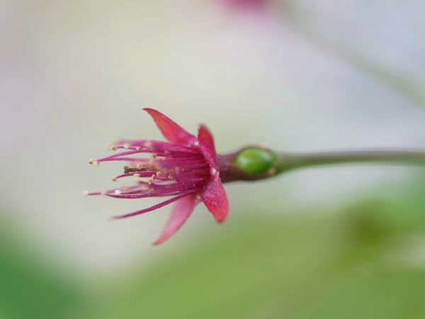 f:id:elmikamino:20110522101133j:image f:id:elmikamino:20110522101133j:image