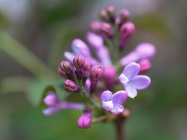 f:id:elmikamino:20110522103946j:image f:id:elmikamino:20110522103946j:image