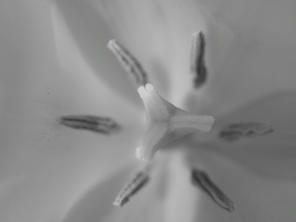 f:id:elmikamino:20110528090605j:image