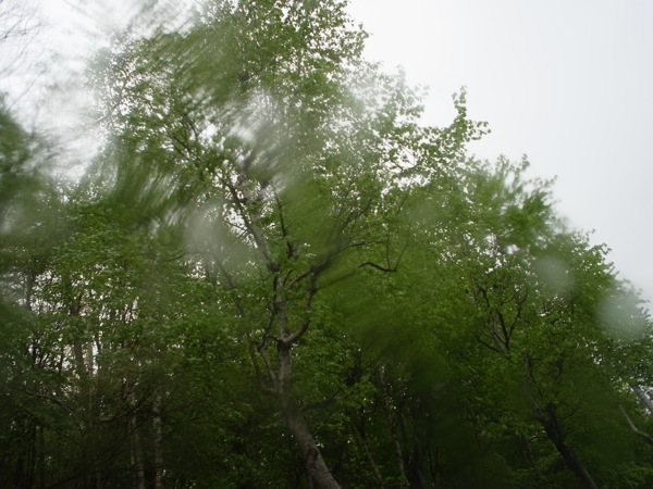 f:id:elmikamino:20110528170149j:image