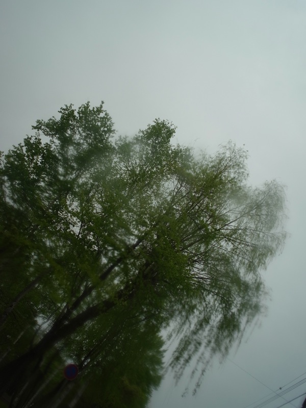 f:id:elmikamino:20110528170308j:image