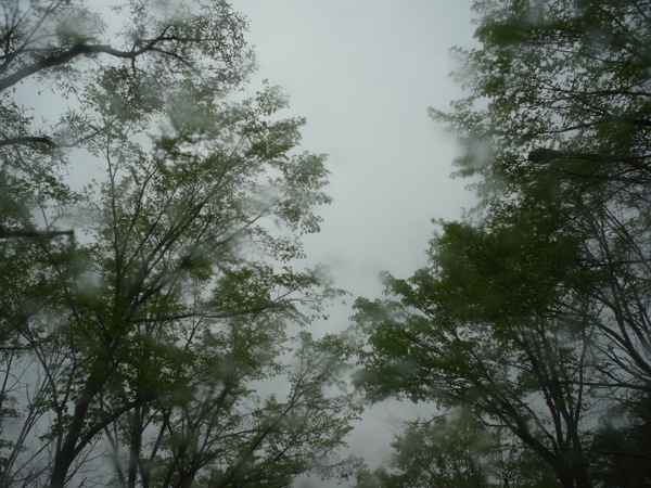 f:id:elmikamino:20110528170431j:image