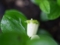 20110529092357