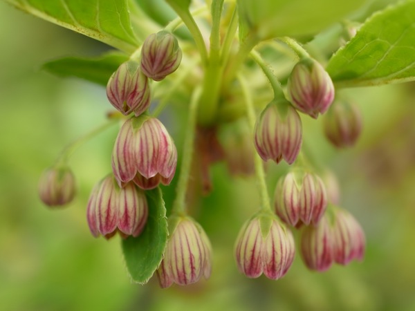 f:id:elmikamino:20110530100058j:image f:id:elmikamino:20110530100058j:image