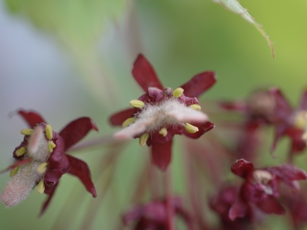 f:id:elmikamino:20110530101259j:image f:id:elmikamino:20110530101259j:image
