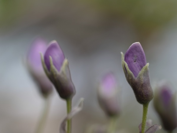f:id:elmikamino:20110530101436j:image f:id:elmikamino:20110530101436j:image