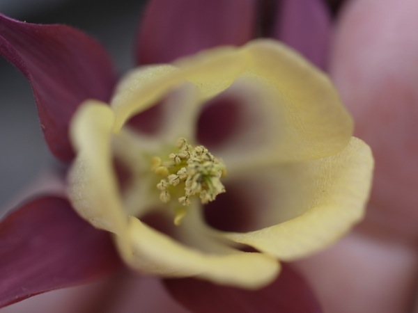 f:id:elmikamino:20110530102805j:image f:id:elmikamino:20110530102805j:image