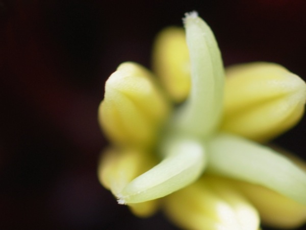 f:id:elmikamino:20110530103107j:image f:id:elmikamino:20110530103107j:image