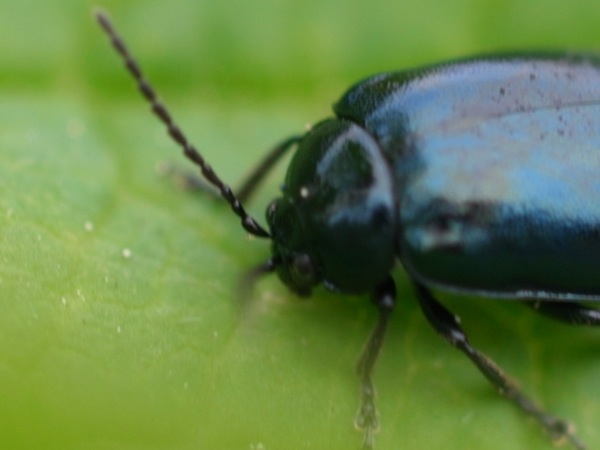 f:id:elmikamino:20110603092525j:image