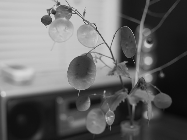 f:id:elmikamino:20110608212253j:image f:id:elmikamino:20110608212253j:image