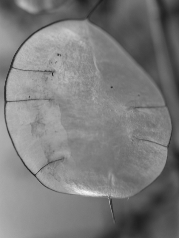 f:id:elmikamino:20110609175058j:image f:id:elmikamino:20110609175058j:image