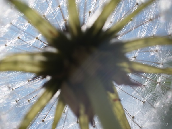 f:id:elmikamino:20110610093058j:image