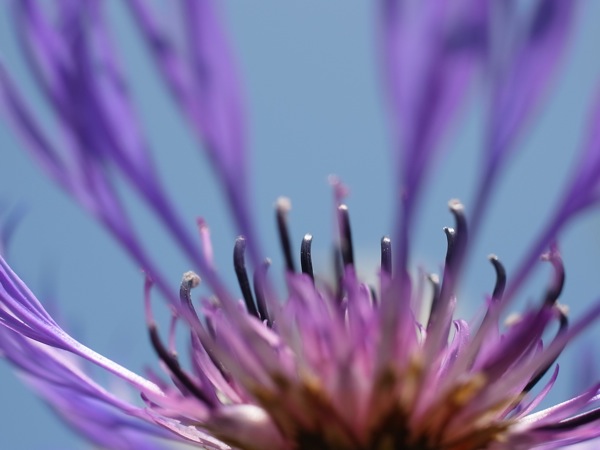 f:id:elmikamino:20110610093850j:image