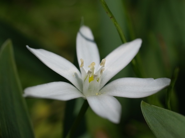 f:id:elmikamino:20110610093941j:image