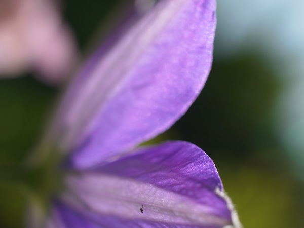 f:id:elmikamino:20110610094055j:image