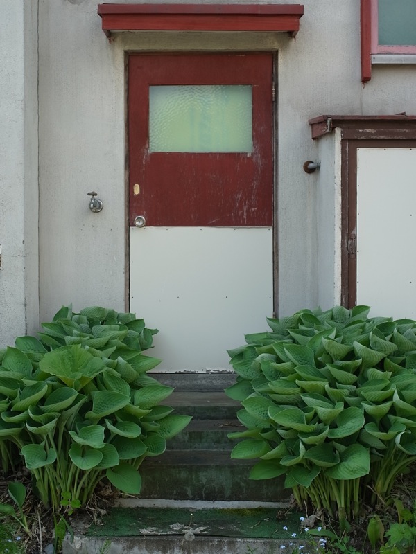 f:id:elmikamino:20110610094150j:image