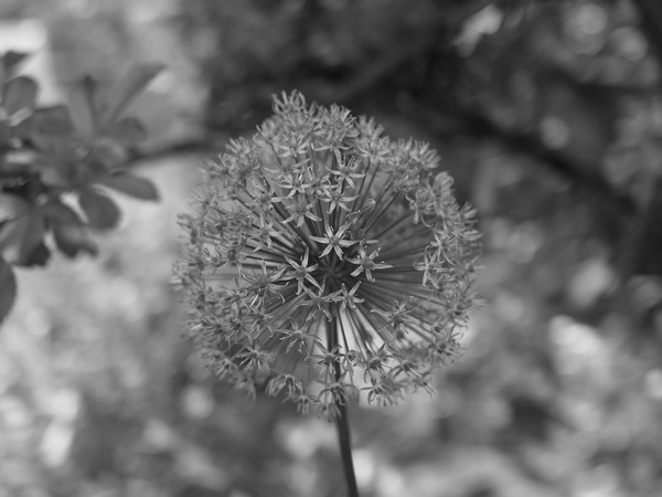 f:id:elmikamino:20110610095726j:image