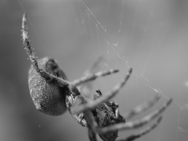 f:id:elmikamino:20110610100553j:image