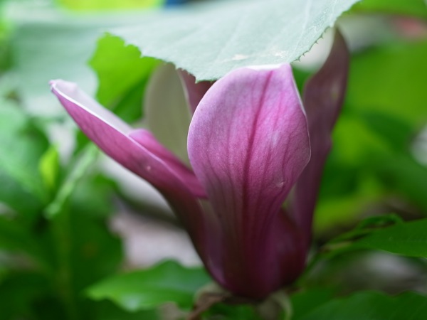 f:id:elmikamino:20110612093611j:image f:id:elmikamino:20110612093611j:image