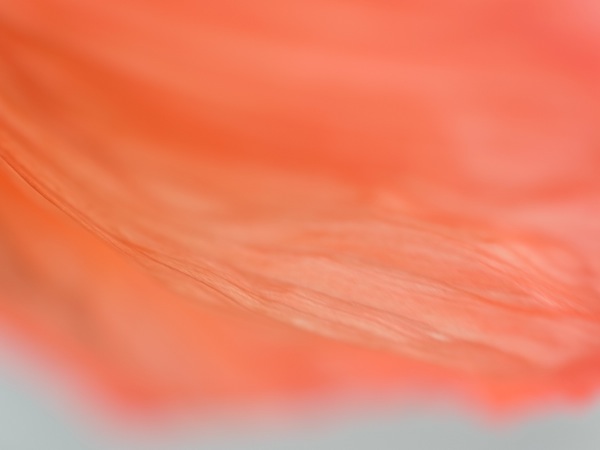 f:id:elmikamino:20110612100559j:image f:id:elmikamino:20110612100559j:image