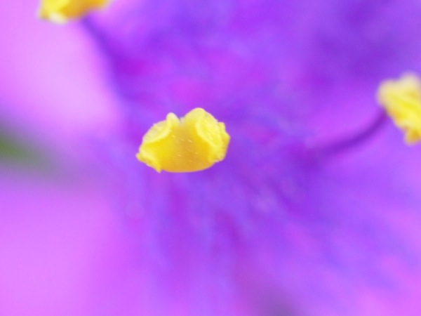 f:id:elmikamino:20110612100803j:image f:id:elmikamino:20110612100803j:image