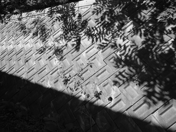 f:id:elmikamino:20110617091605j:image
