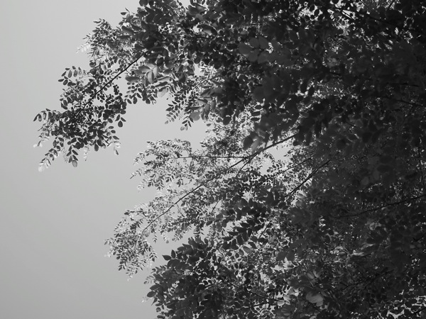 f:id:elmikamino:20110617110755j:image
