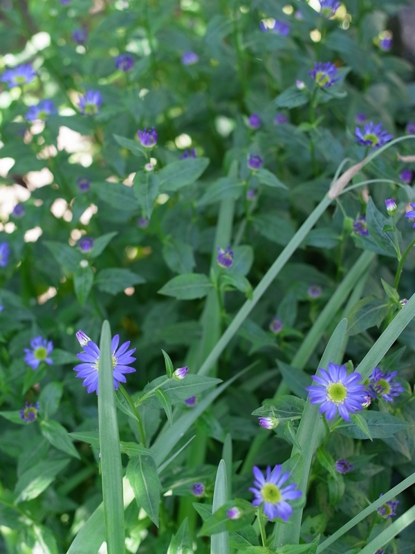 f:id:elmikamino:20110617111421j:image