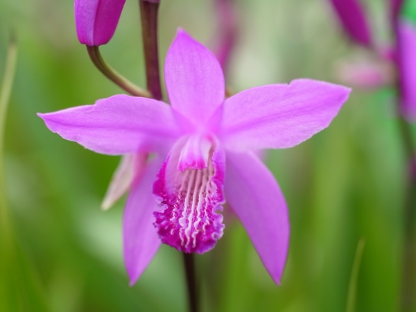 f:id:elmikamino:20110620093306j:image