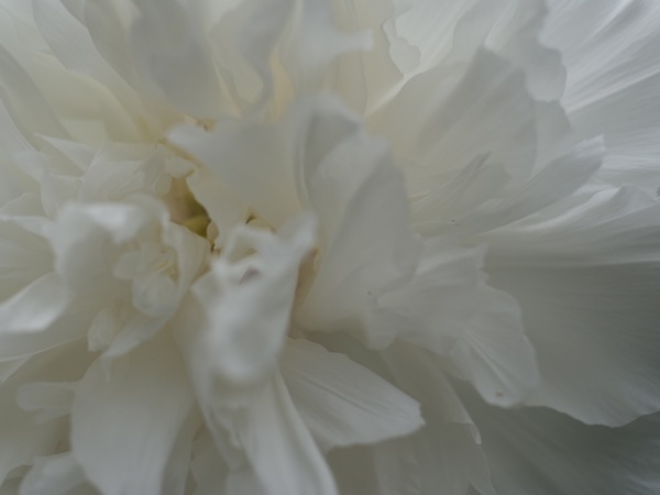 f:id:elmikamino:20110620100806j:image