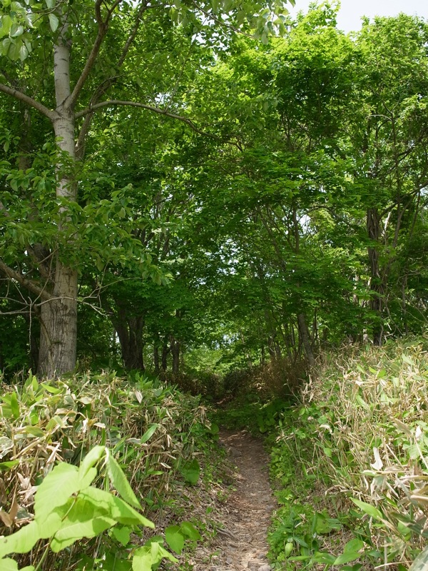 f:id:elmikamino:20110622112240j:image