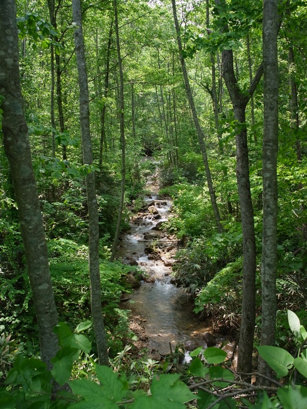 f:id:elmikamino:20110622112955j:image