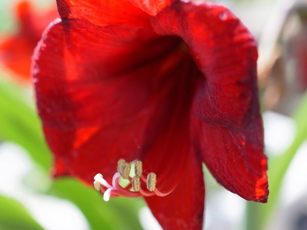 f:id:elmikamino:20110625105411j:image