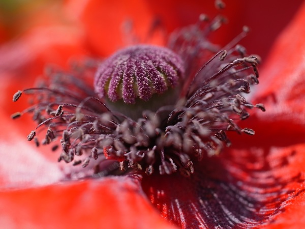 f:id:elmikamino:20110702105600j:image