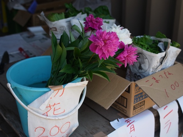 f:id:elmikamino:20110702112938j:image