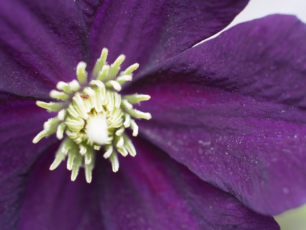 f:id:elmikamino:20110703095212j:image