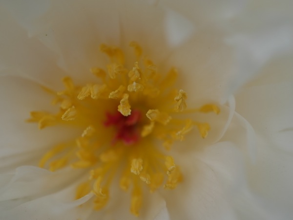 f:id:elmikamino:20110703095348j:image