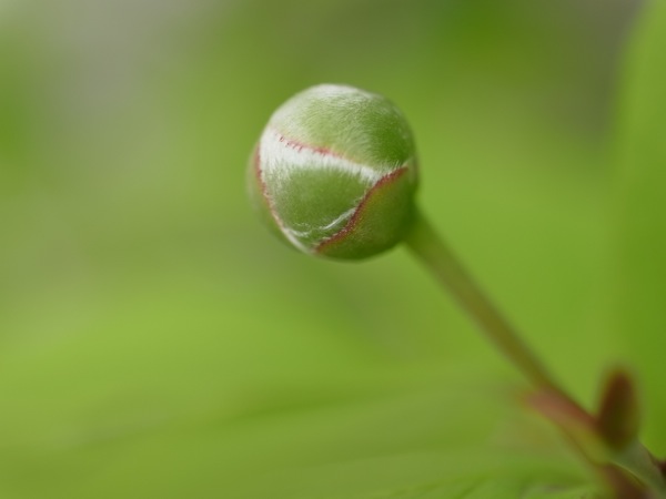 f:id:elmikamino:20110705100149j:image f:id:elmikamino:20110705100149j:image