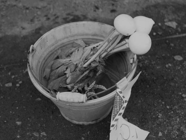 f:id:elmikamino:20110705101035j:image f:id:elmikamino:20110705101035j:image