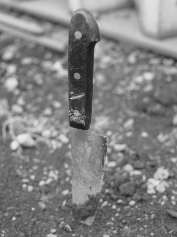 f:id:elmikamino:20110705101131j:image f:id:elmikamino:20110705101131j:image