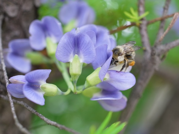 f:id:elmikamino:20110705103637j:image f:id:elmikamino:20110705103637j:image