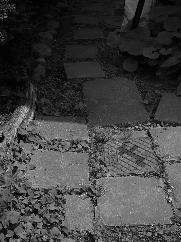 f:id:elmikamino:20110705104735j:image f:id:elmikamino:20110705104735j:image